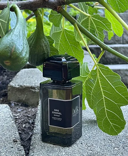 Hot BDK Parfums Gris Charnel Extrait