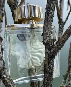 Discount Lalique Pour Homme Lion
