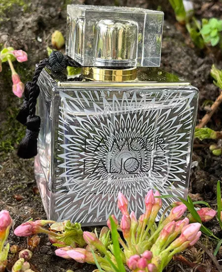 Hot Lalique L'Amour
