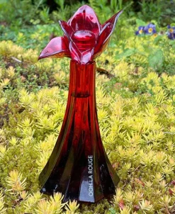 Best Christian Siriano Ooh La Rouge