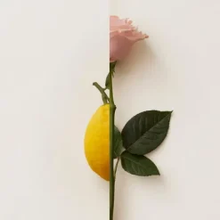 Discount New Notes Rosa Limone