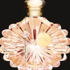 Best Lalique Soleil