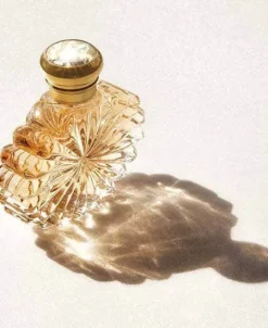 Best Lalique Soleil